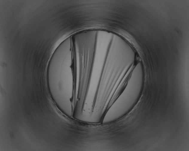 X0000090501242200708031202