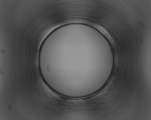 X0000090501244200708031202