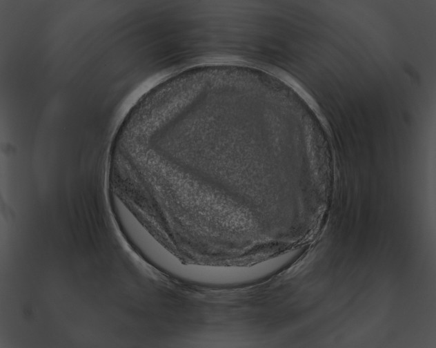 X0000090501245200708031202