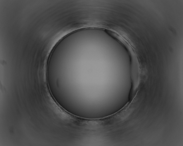 X0000090501246200708031202