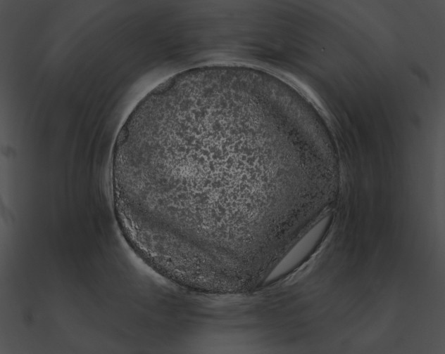 X0000090501247200708031202