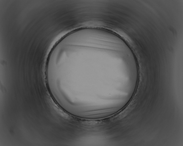 X0000090501248200708031202