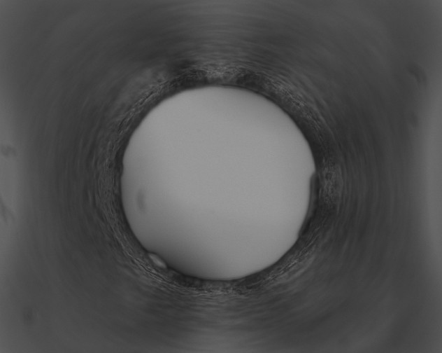 X0000090501249200708031201