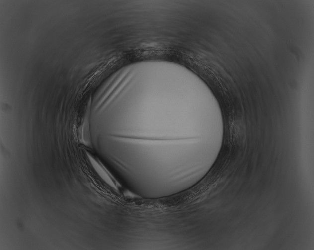 X0000090501250200708031201