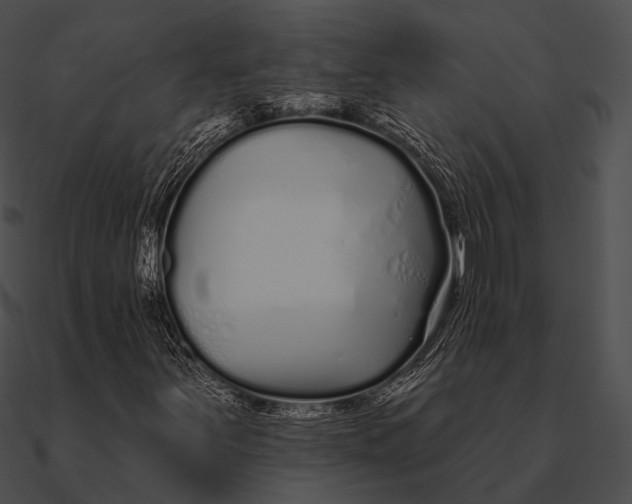 X0000090501251200708031201