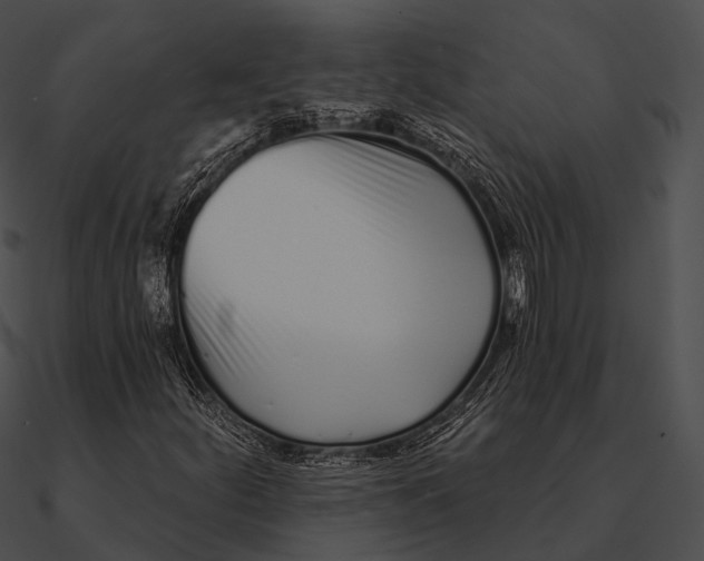 X0000090501252200708031201