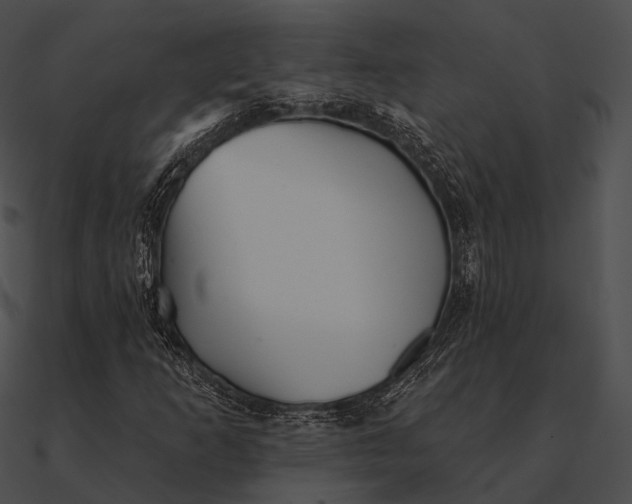 X0000090501253200708031201