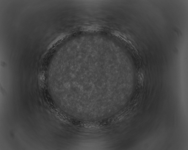 X0000090501254200708031201