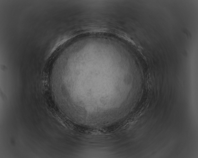 X0000090501255200708031201