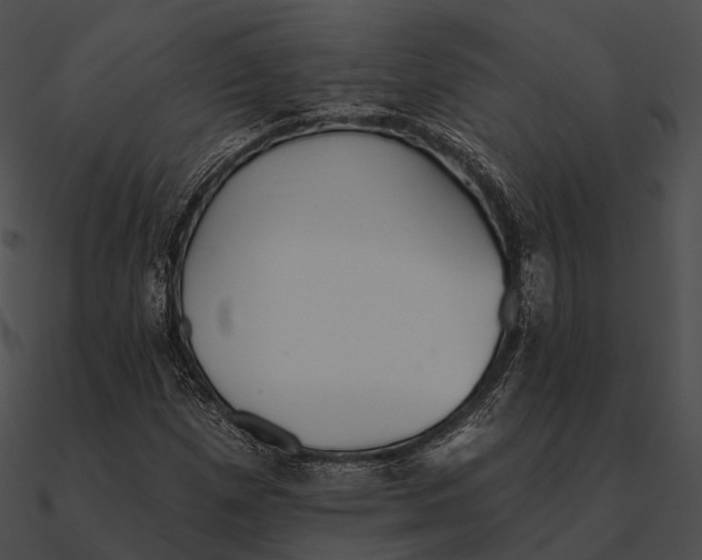 X0000090501257200708031201