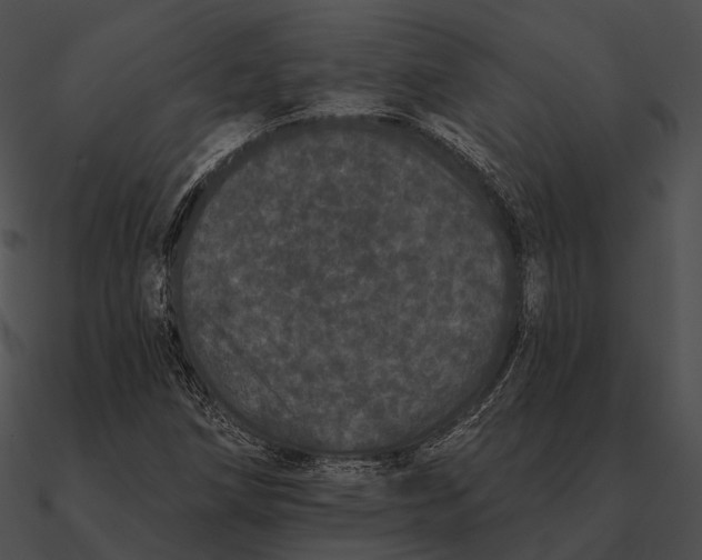 X0000090501258200708031201