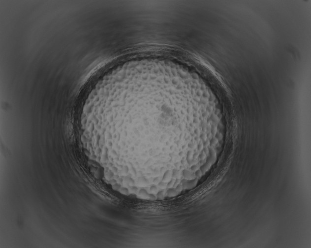 X0000090501259200708031201