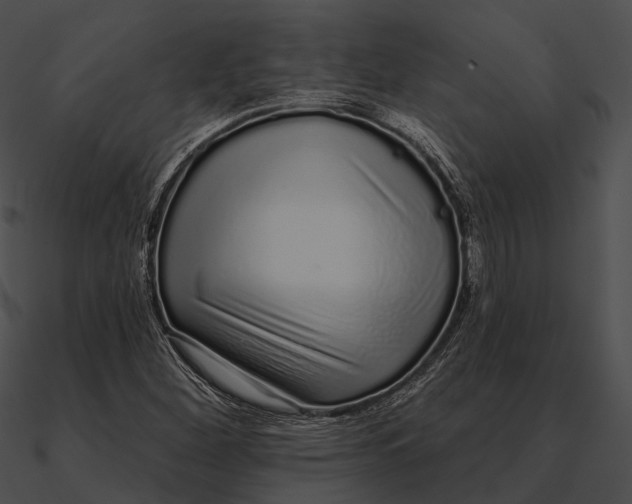 X0000090501260200708031201