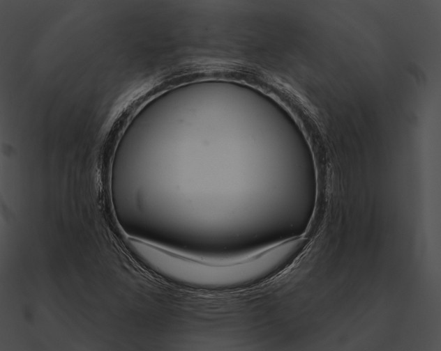 X0000090501261200708031201