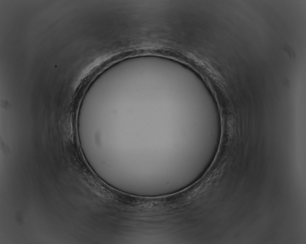 X0000090501262200708031201