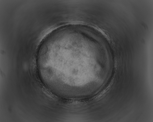 X0000090501263200708031201