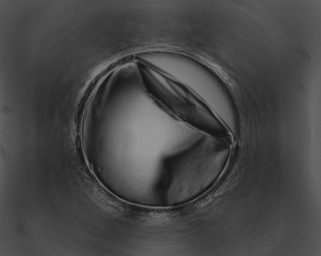 X0000090501264200708031201