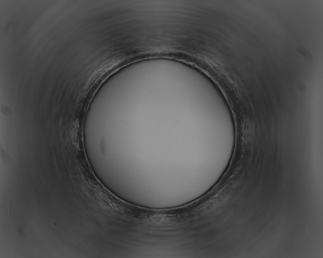 X0000090501265200708031201