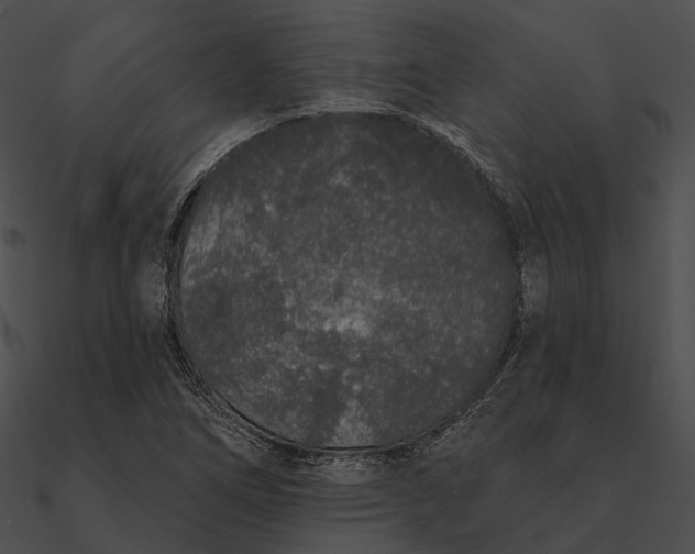 X0000090501266200708031201