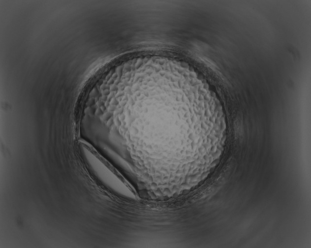 X0000090501267200708031201