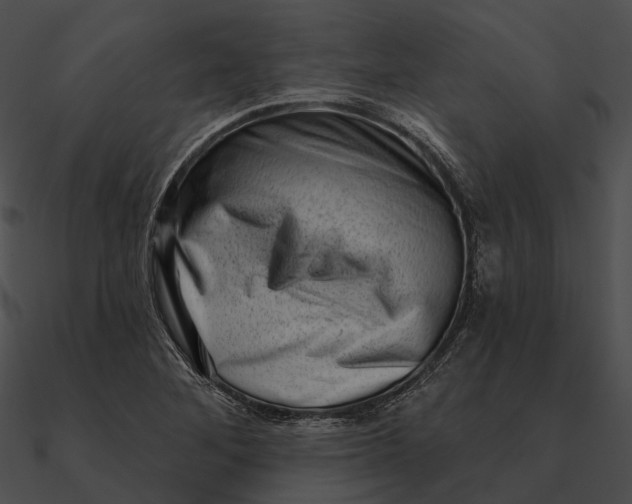 X0000090501268200708031201