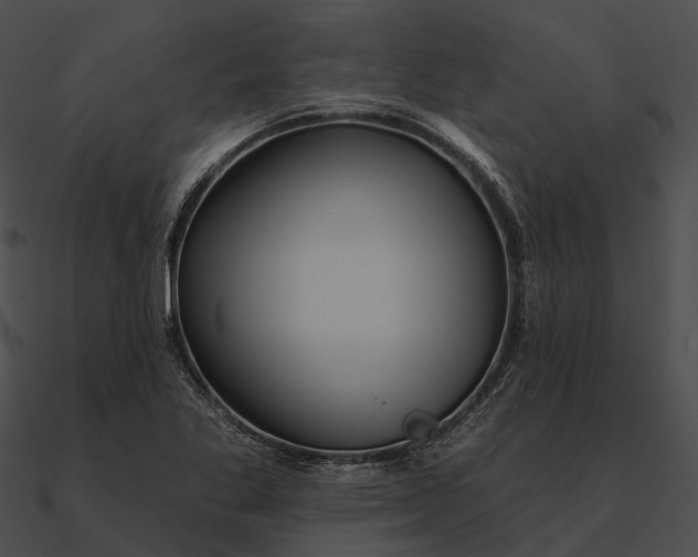 X0000090501269200708031201