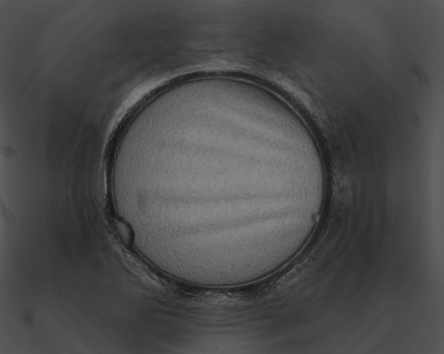 X0000090501270200708031201