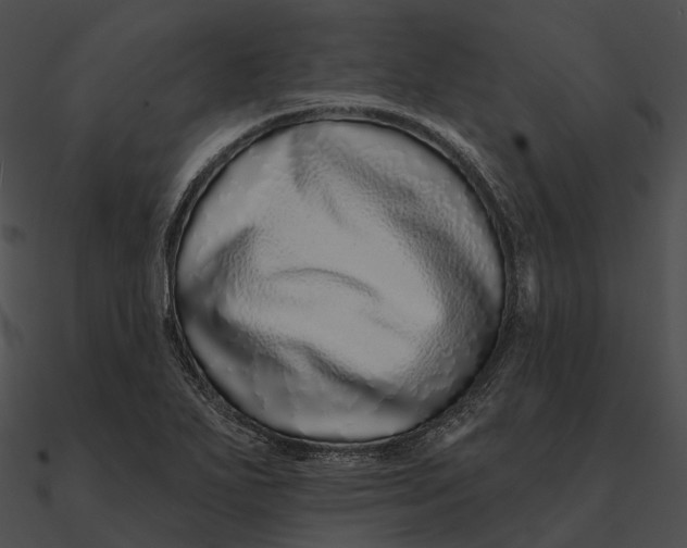 X0000090501271200708031201