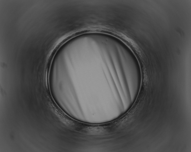 X0000090501272200708031201