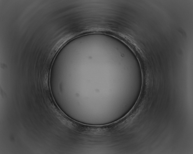 X0000090501273200708031201