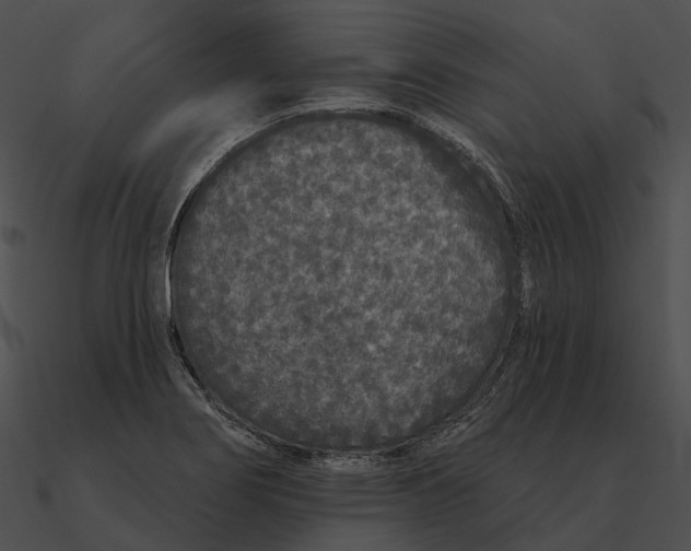 X0000090501274200708031201