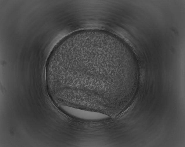 X0000090501275200708031201