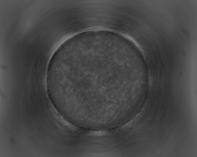 X0000090501278200708031201