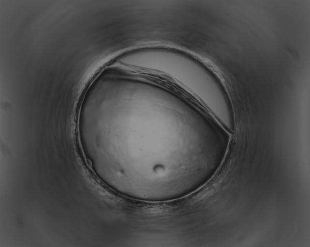 X0000090501279200708031201