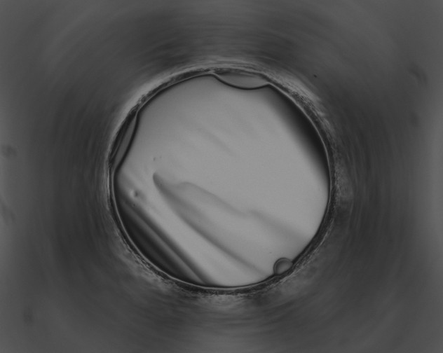 X0000090501280200708031201