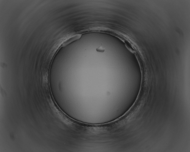 X0000090501281200708031201