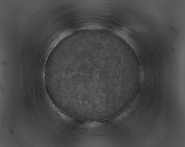 X0000090501282200708031201