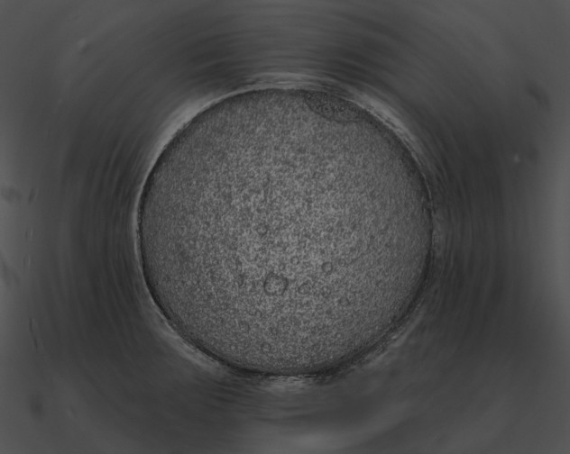 X0000090501283200708031201