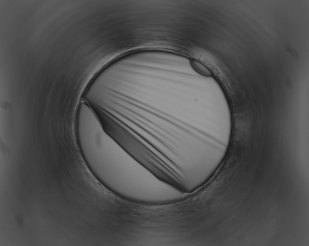 X0000090501284200708031201