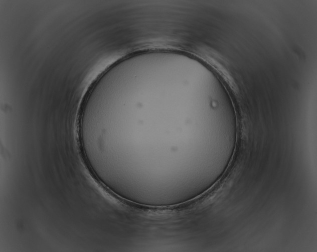 X0000090501285200708031200