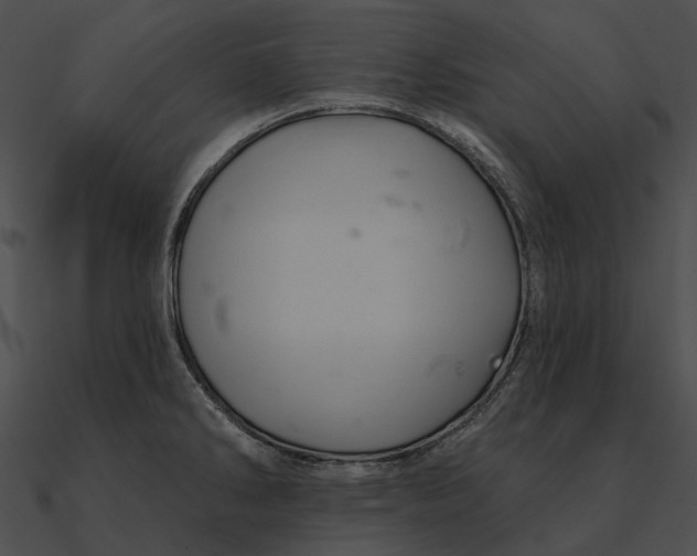 X0000090501286200708031200