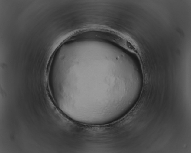 X0000090501287200708031200