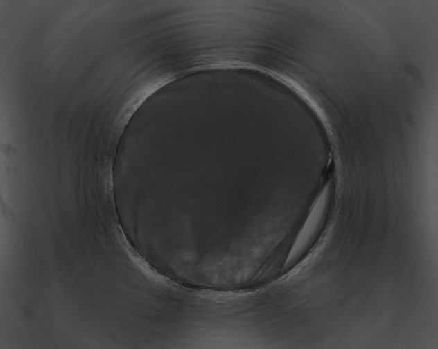 X0000090501289200708031200