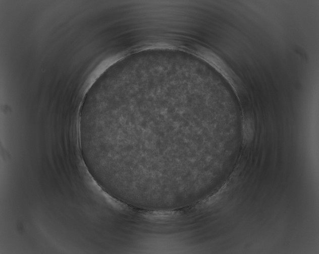 X0000090501290200708031200