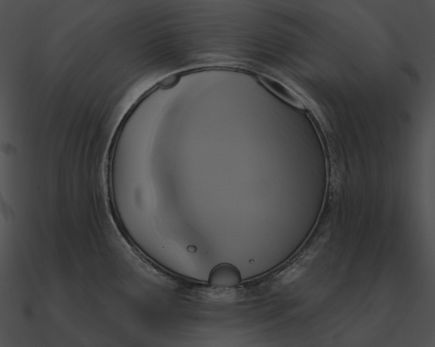 X0000090501291200708031200