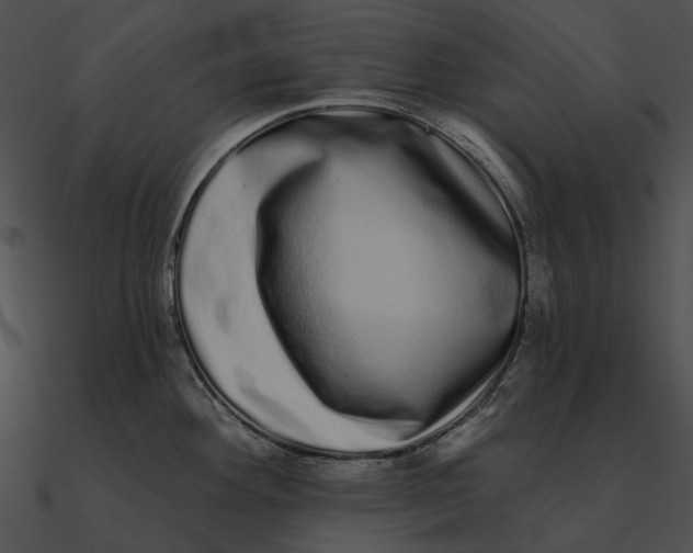 X0000090501292200708031200