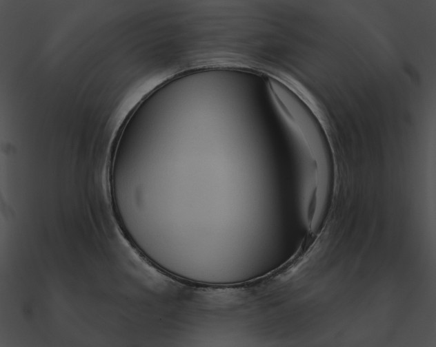 X0000090501293200708031200