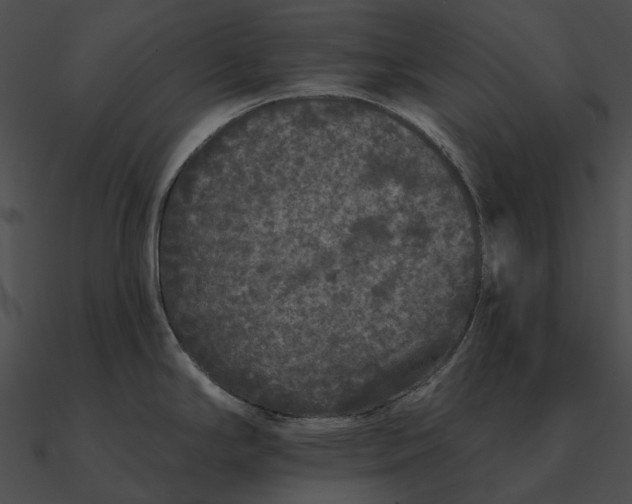 X0000090501294200708031200