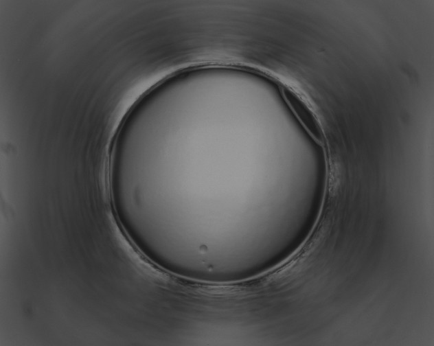 X0000090501295200708031200