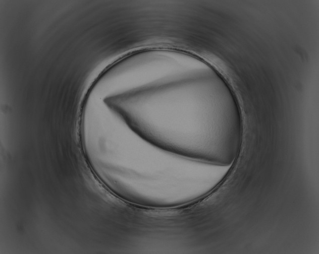 X0000090501296200708031200